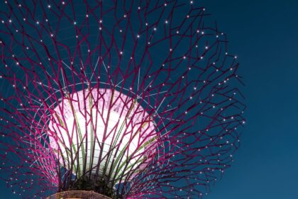 10 Best Things to Do in Singapore