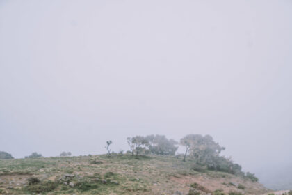 20 Things You Need to Know Before Visiting Ethiopia