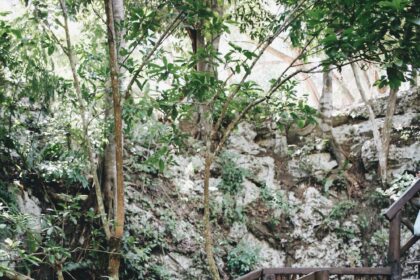 A complete guide to Tulum, Mexico
