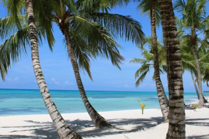 Americans add five new flights to Mexico and the Caribbean