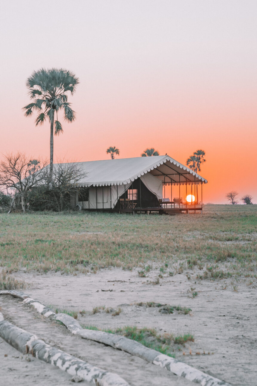 Appearances in Kalari Desert and St. Camp Botswana