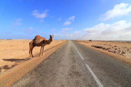 Can you travel from America to Morocco now?
