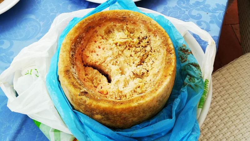 Casu Marzu: The World's "Most Dangerous" Cheese