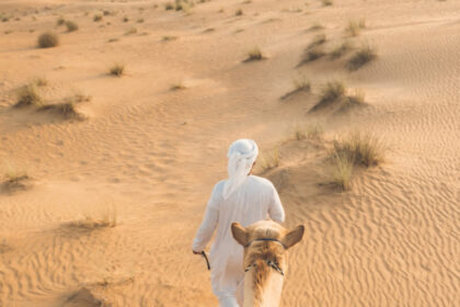 Dubai desert safari with platinum heritage safari