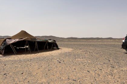 Eco friendly Tours in Sahara Desert