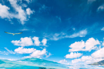 Mourea's Guide, Tahiti