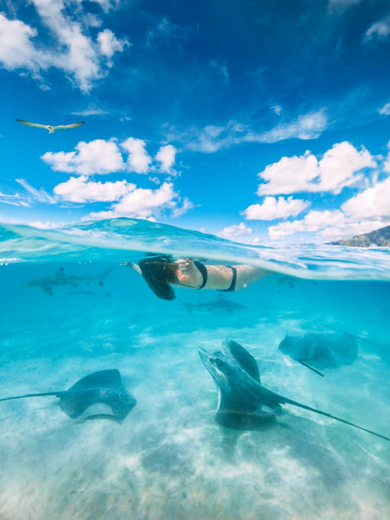 Mourea's Guide, Tahiti