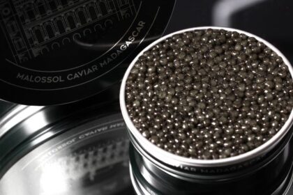 Over $10,000 per kilogram, Africa's first caviar surprises the luxury food industry