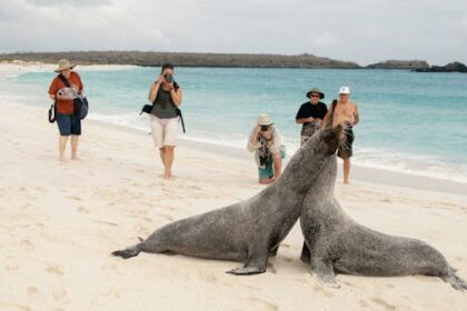 The Galapagos Islands will double the visitor rate in August 2024. This is the reason