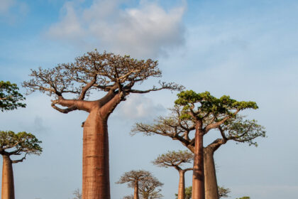 The ultimate African bucket list