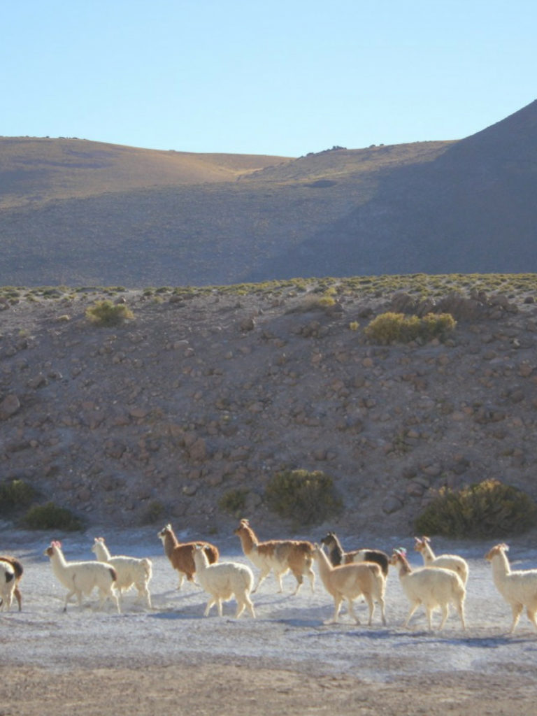 Visit the world's most arbitrary places: San Pedro de Takama
