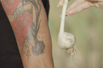 A unique variety of garlic is at risk of extinction. One woman is trying to keep it alive