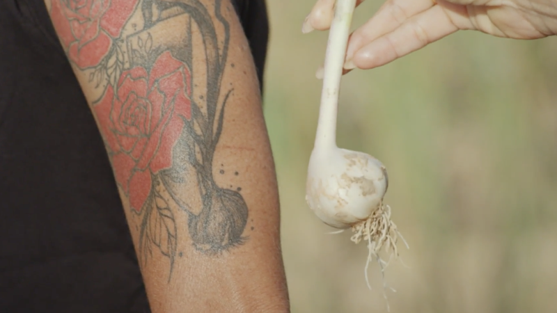 A unique variety of garlic is at risk of extinction. One woman is trying to keep it alive
