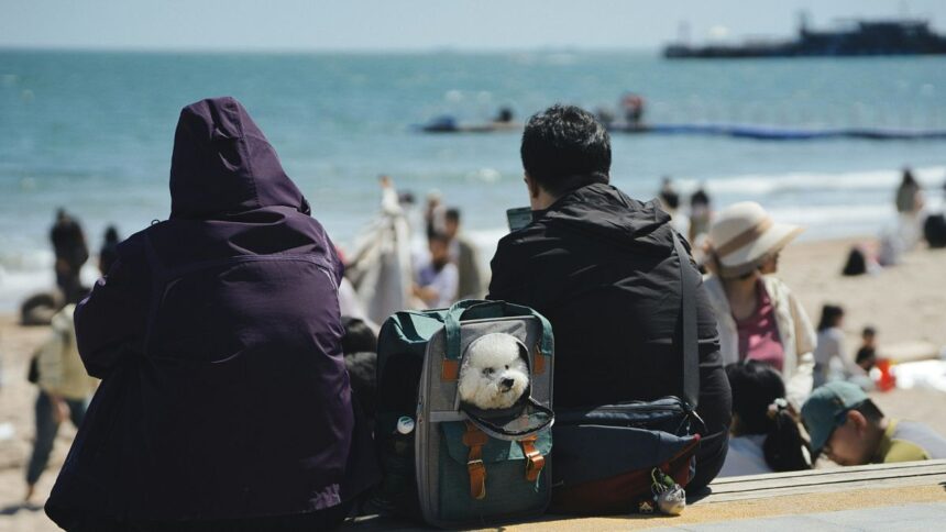 Brexit was complicated to travel between the UK and the EU with pets, but new rules could change that