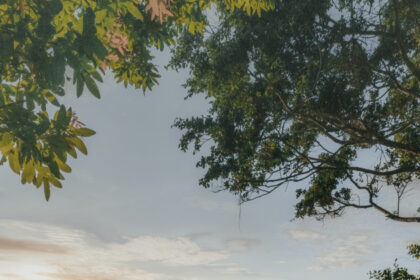 Nihi Sumba review