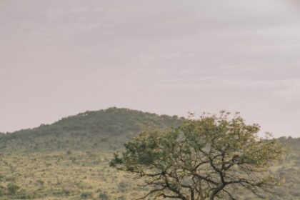 Purpose Safari: My Rhino Protection Diary