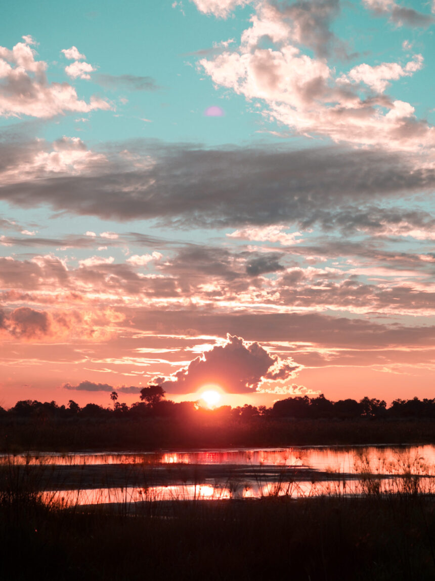 Why should Botswana be your next safari destination?