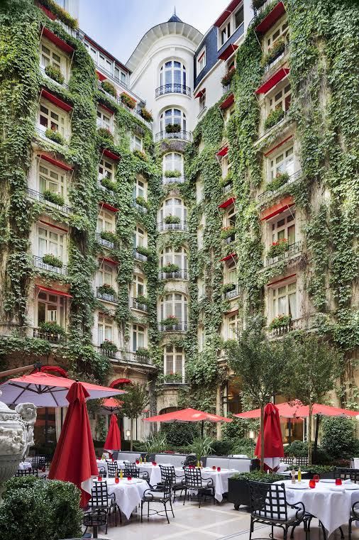 Paris 50 Things you Must Do