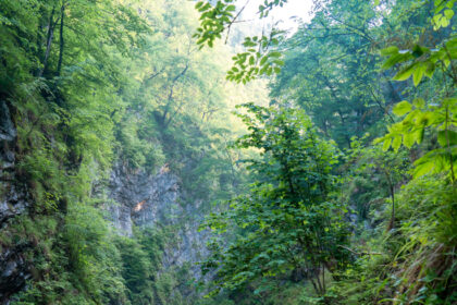 Vintgar Gorge Slovenia