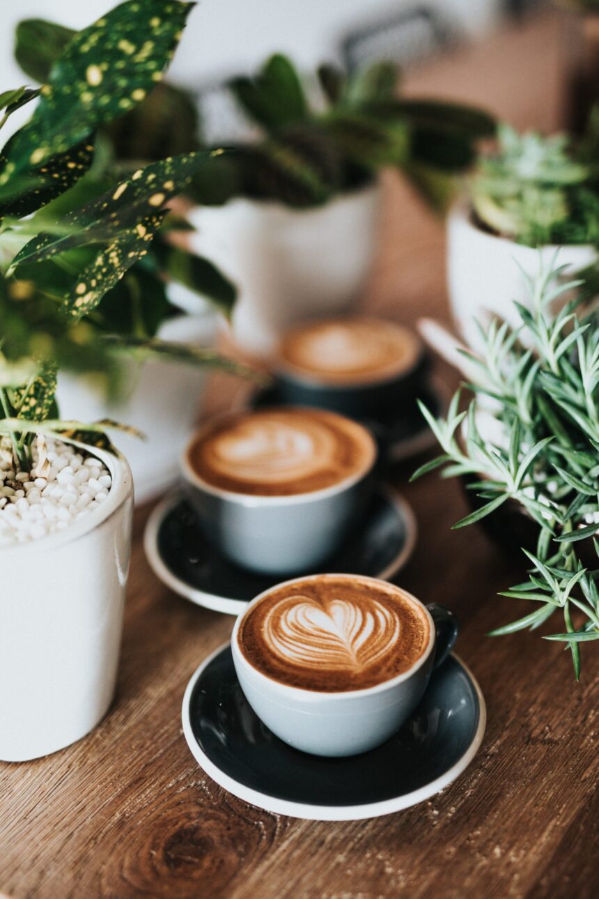 Best Coffee Shops in Ljubljana